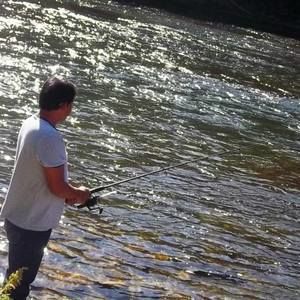 Meet your Posher, Alvin